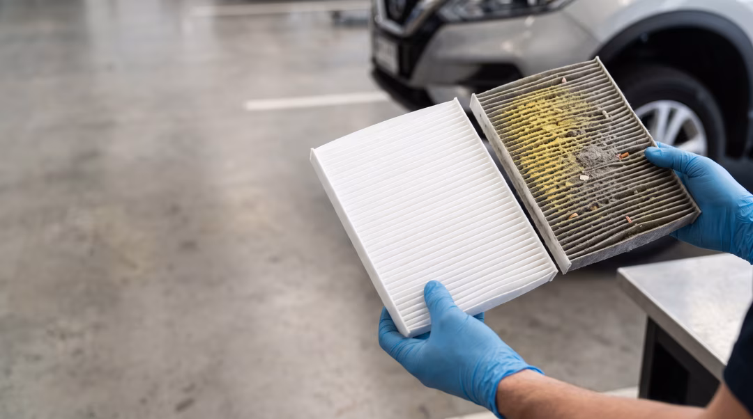 what-should-you-know-about-pollen-season-and-vehicle-air-filters-in-north-carolina